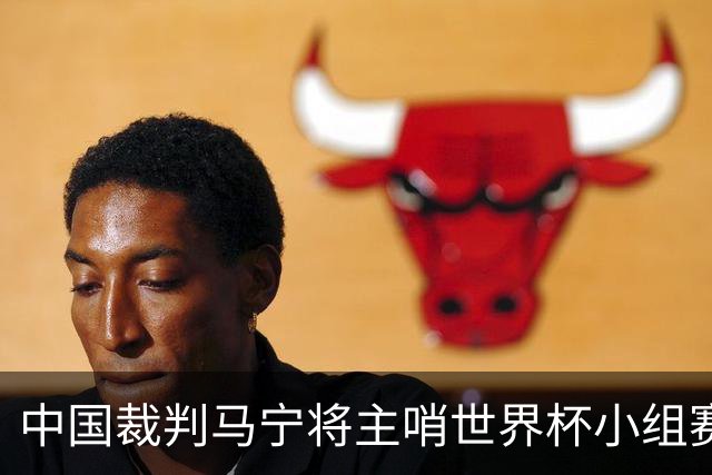 中国裁判马宁将主哨世界杯小组赛第二轮比赛